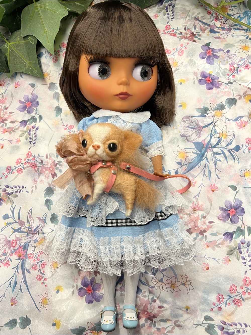 NWT Blythe Doll/Blue Dress/Blk Bow/Pearl Accent/Blue Shoes-White Kitties